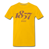 Harris-Stowe State University (HSSU) Rep U Year T-Shirt - sun yellow