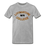Livingstone College Rep U Heritage T-Shirt - heather gray