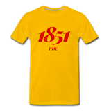 University of the District of Columbia (UDC) Rep U Year T-Shirt - sun yellow